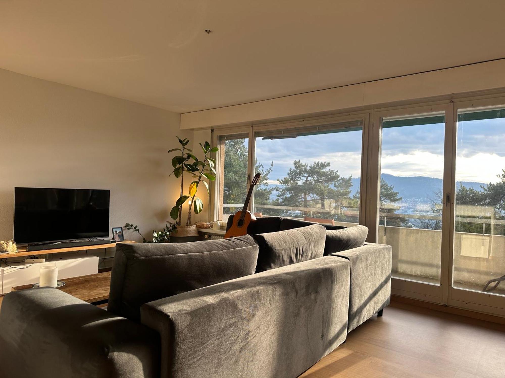 Lovely Room, 15 Min From Center, Mountain View Zurich Ngoại thất bức ảnh